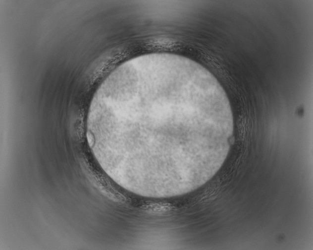 X0000115260642200912111141