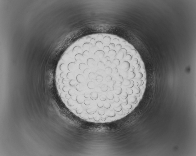 X0000115260646200912111141