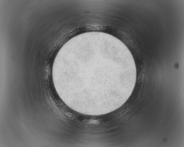 X0000115260647200912111141