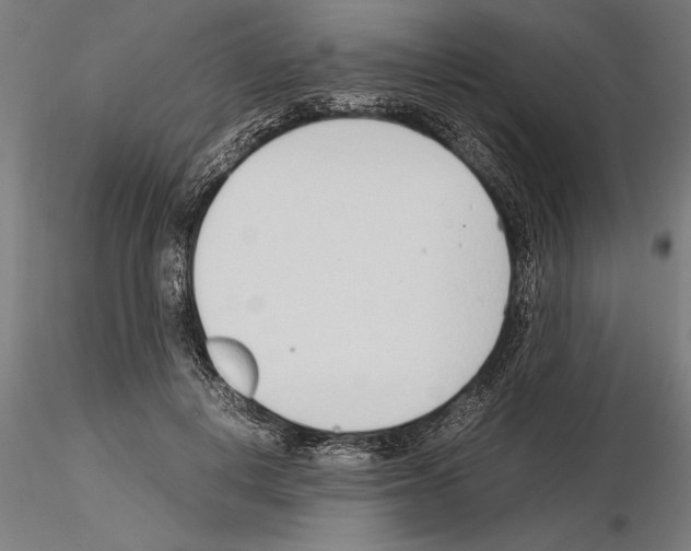 X0000115260648200912111141