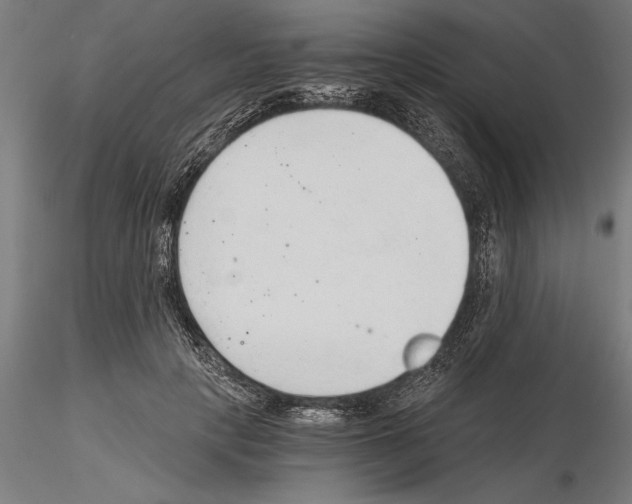 X0000115260649200912111141