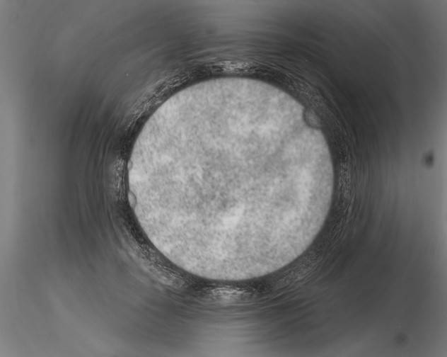 X0000115260650200912111141