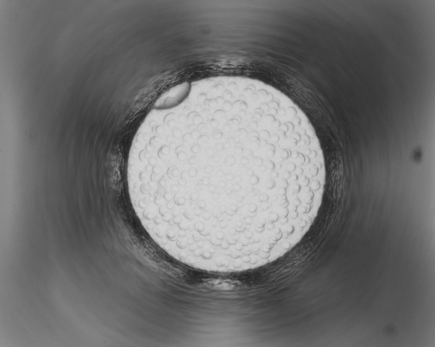 X0000115260654200912111141