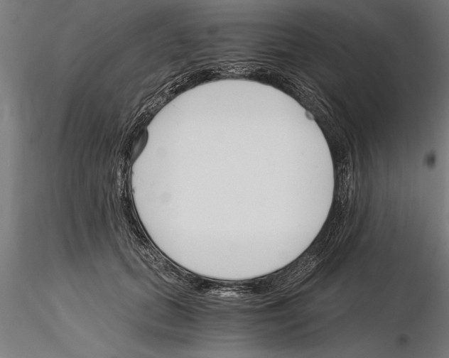 X0000115260655200912111141