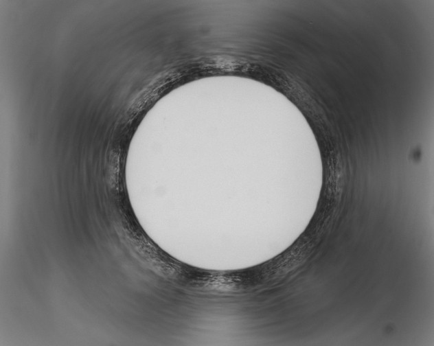 X0000115260656200912111141