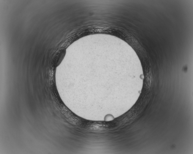 X0000115260657200912111141