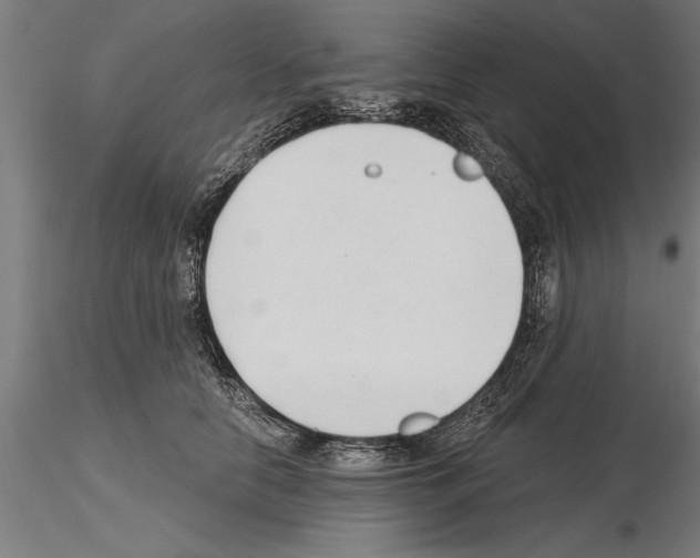 X0000115260658200912111141