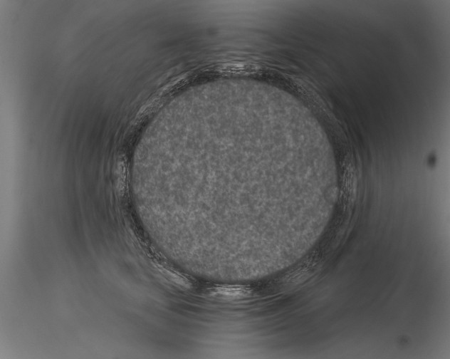 X0000115260659200912111141