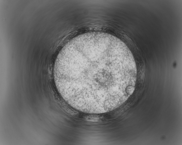 X0000115260661200912111141