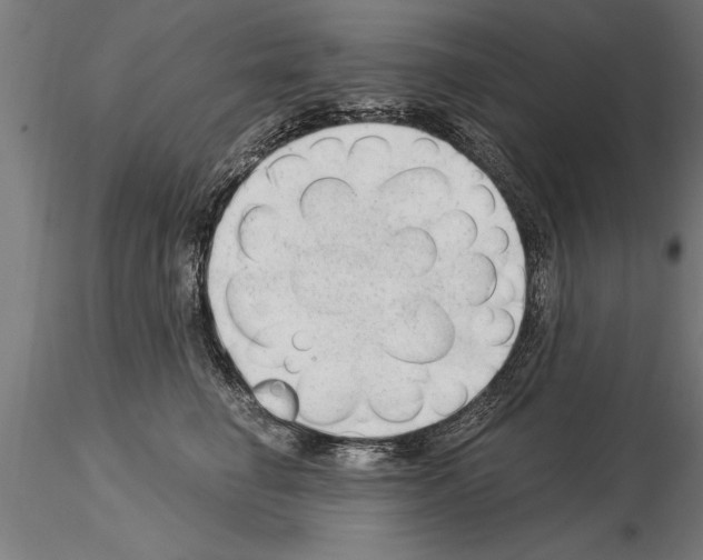 X0000115260662200912111141