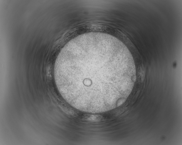 X0000115260663200912111141