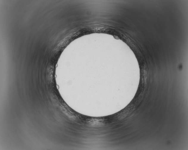 X0000115260664200912111141