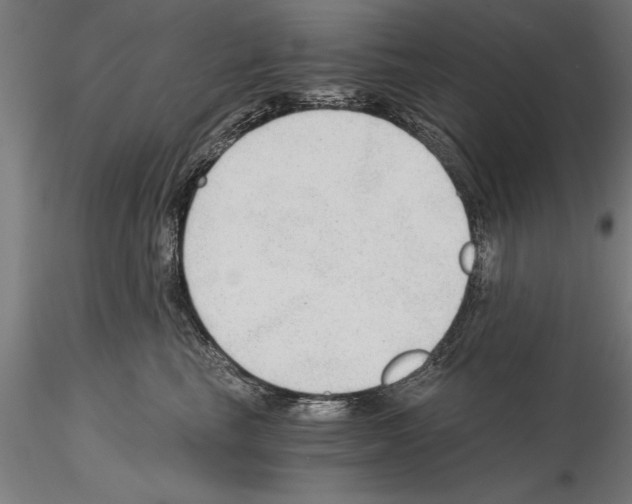 X0000115260665200912111141