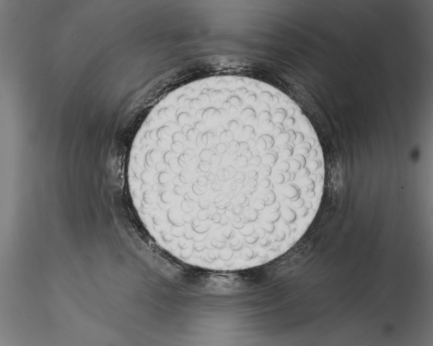 X0000115260666200912111141