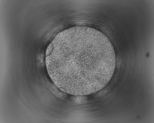 X0000115260670200912111141