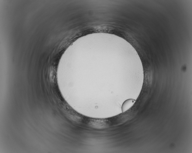 X0000115260671200912111141