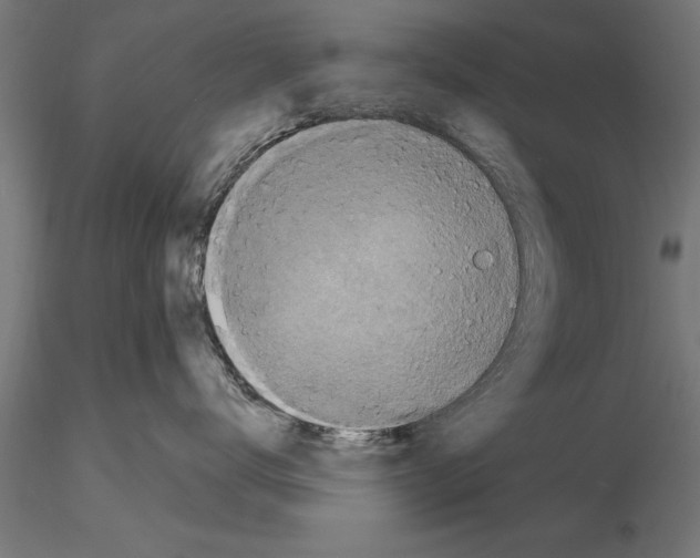 X0000115260672200912111141