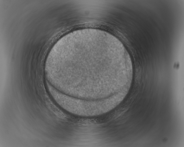 X0000115260673200912111141