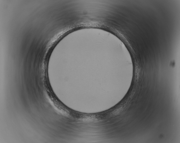 X0000115260674200912111141