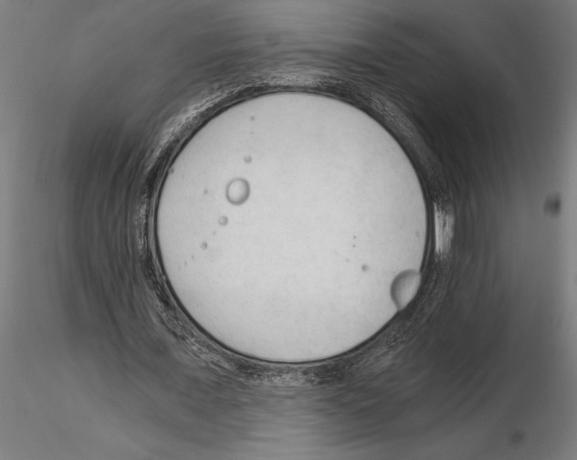 X0000115260675200912111141