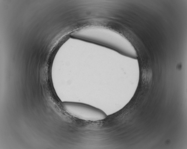 X0000115260676200912111141