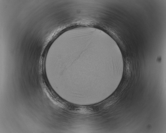 X0000115260678200912111141