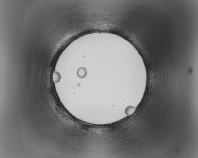 X0000115260679200912111141