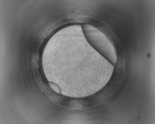 X0000115260680200912111141