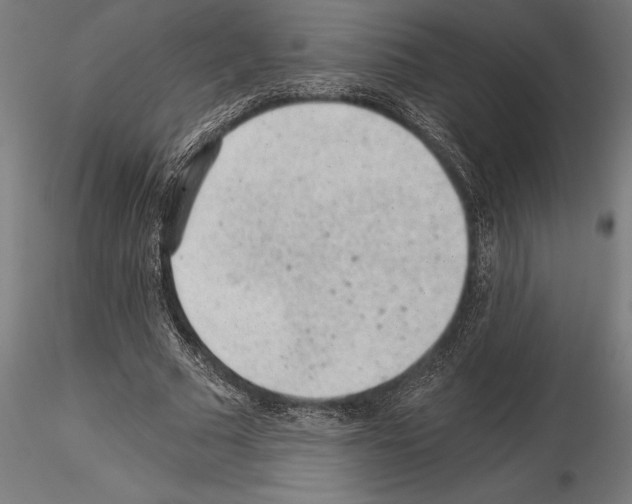 X0000115260681200912111141