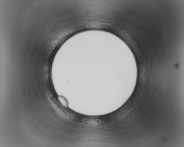 X0000115260683200912111140