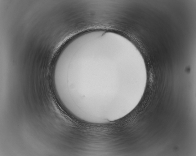 X0000115260684200912111140