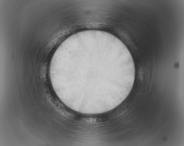 X0000115260687200912111140