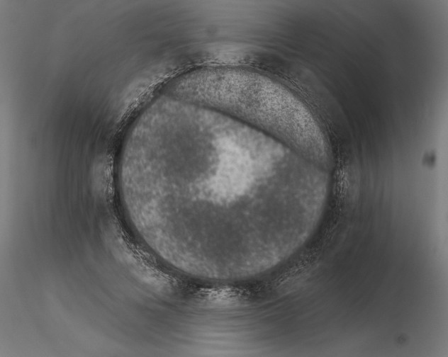 X0000115260688200912111140