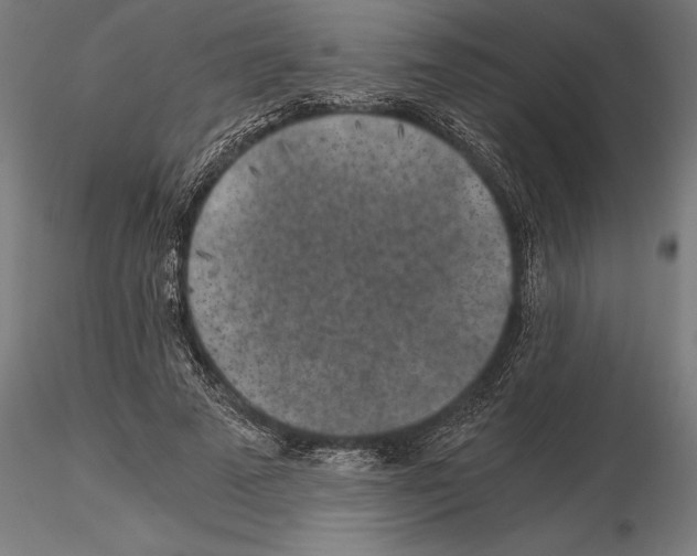 X0000115260689200912111140