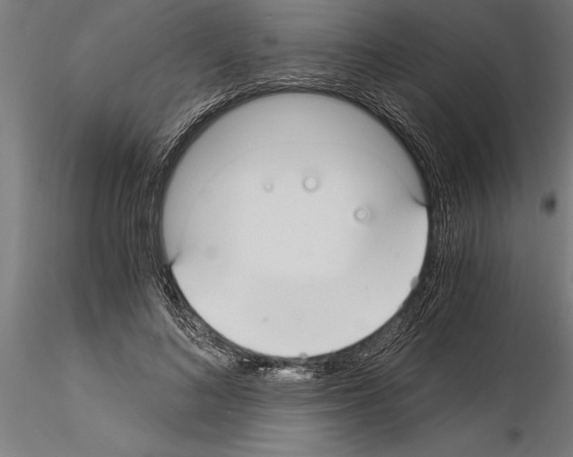 X0000115260692200912111140