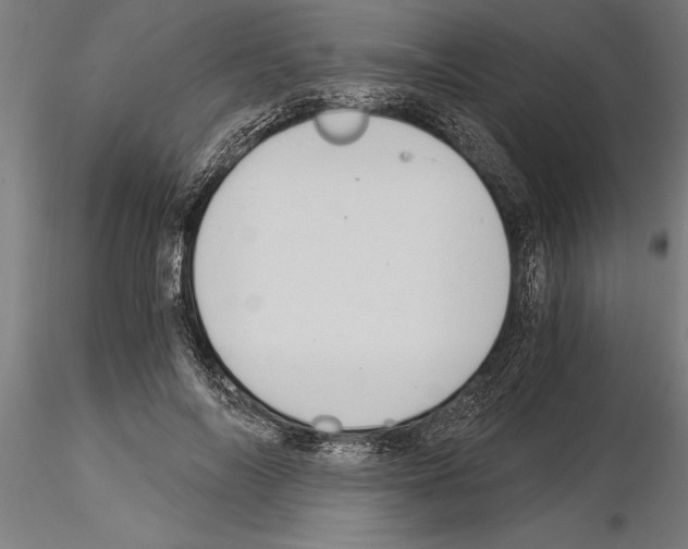 X0000115260694200912111140