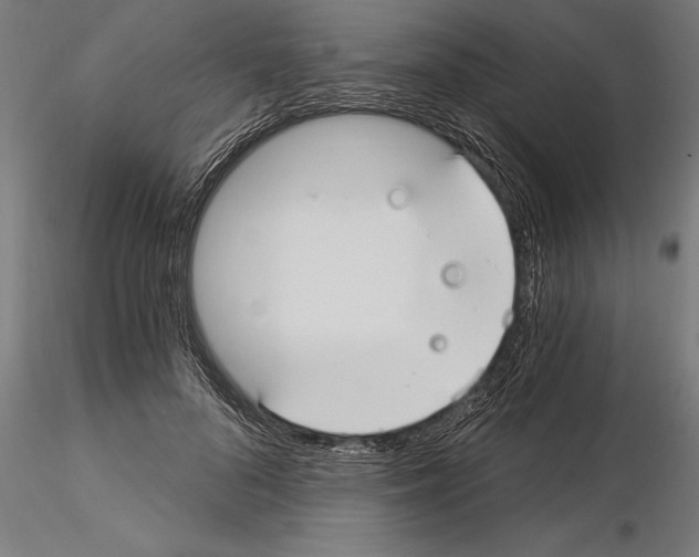 X0000115260696200912111140