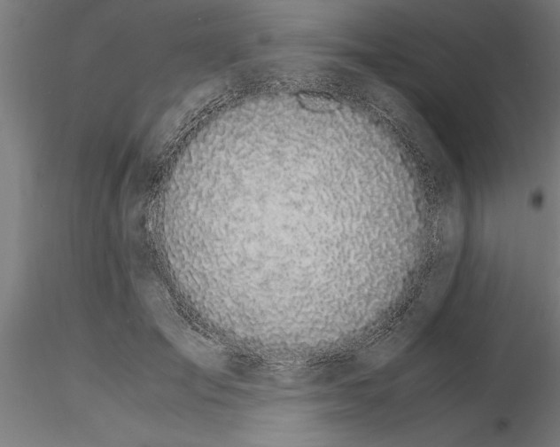 X0000115260701200912111140