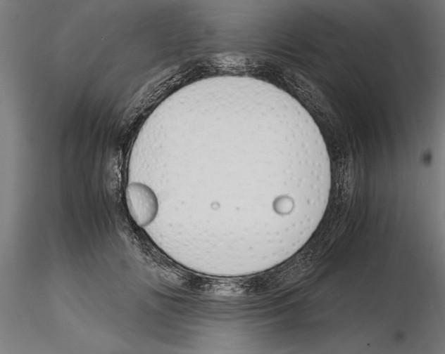 X0000115260702200912111140