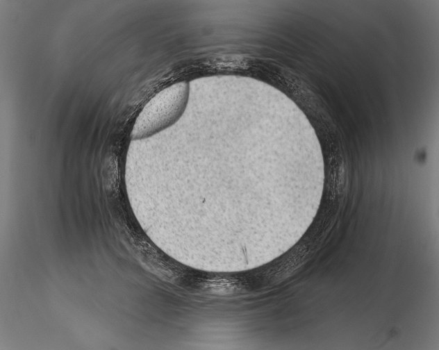 X0000115260704200912111140