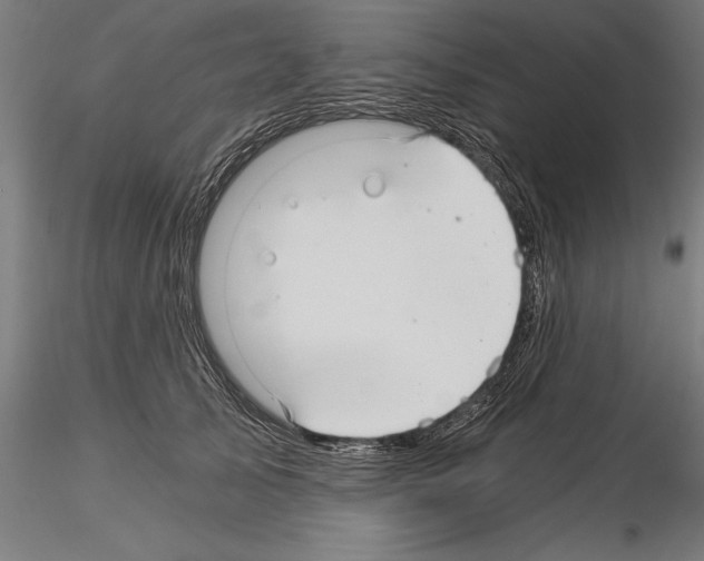 X0000115260705200912111140