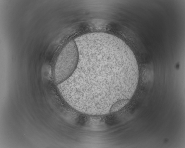 X0000115260709200912111140