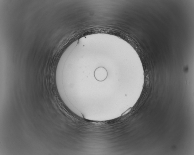 X0000115260713200912111140