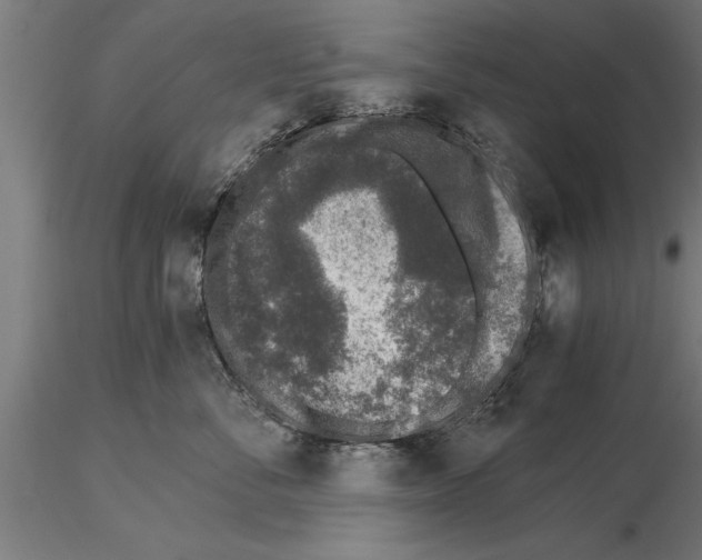 X0000115260716200912111140