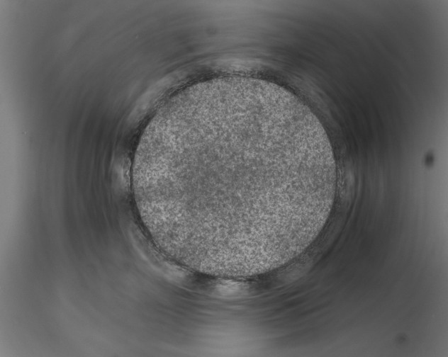 X0000115260718200912111140