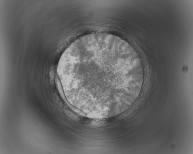 X0000115260720200912111140