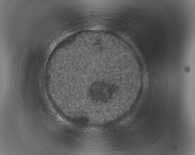 X0000115260721200912111139