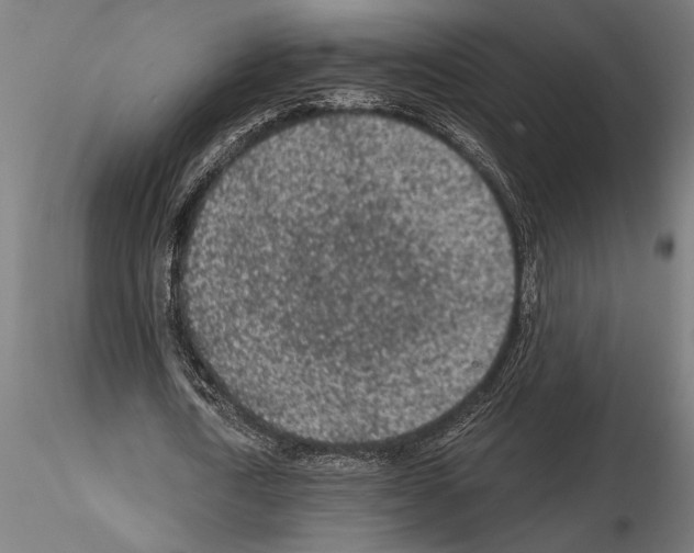 X0000115260722200912111139