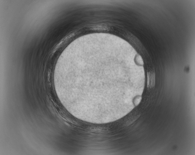 X0000115260723200912111139