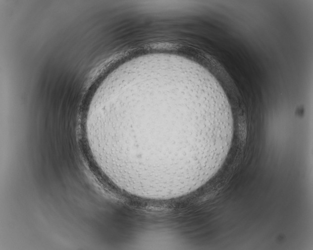 X0000115260725200912111139